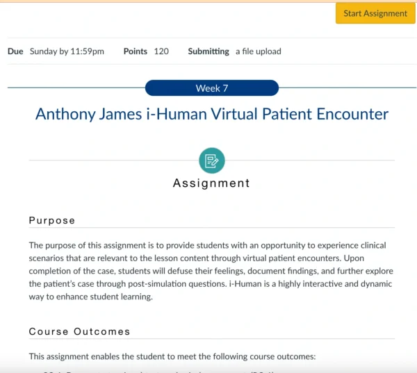 NR305 Week 7 Assignment: Anthony James iHuman Virtual Patient Encounter - Image 5