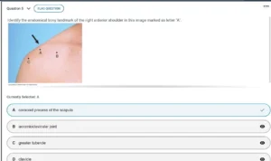 NR509 Week 8 Final Exam